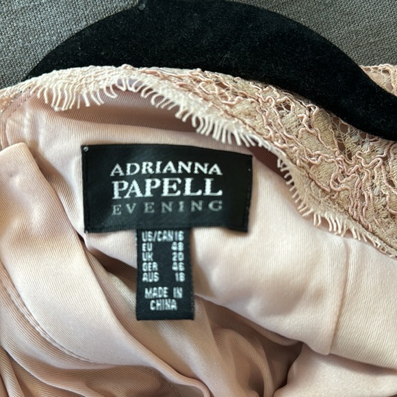Adrianna Papell Dusty Rose Lace Dress - Picture 6 of 6